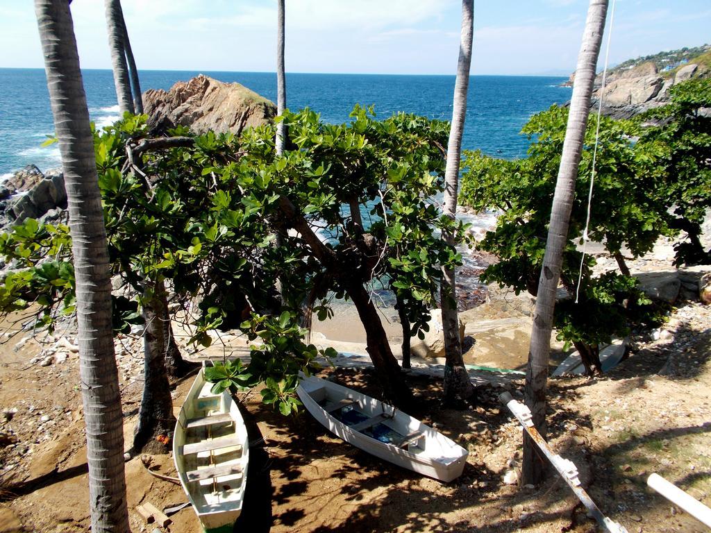 Cocos Camp Otel Akapulko Dış mekan fotoğraf